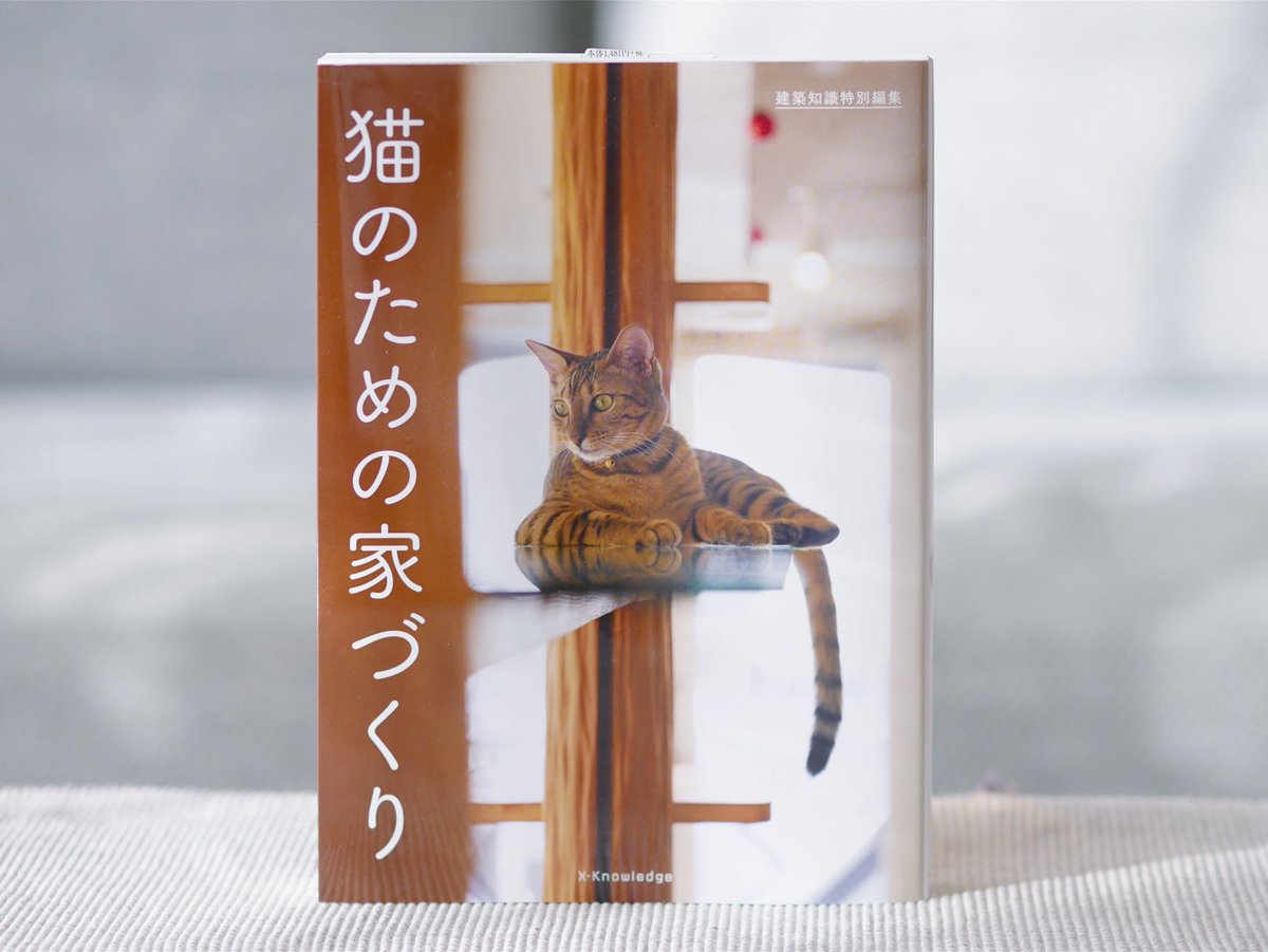 猫のための家づくり بحث في تويتر