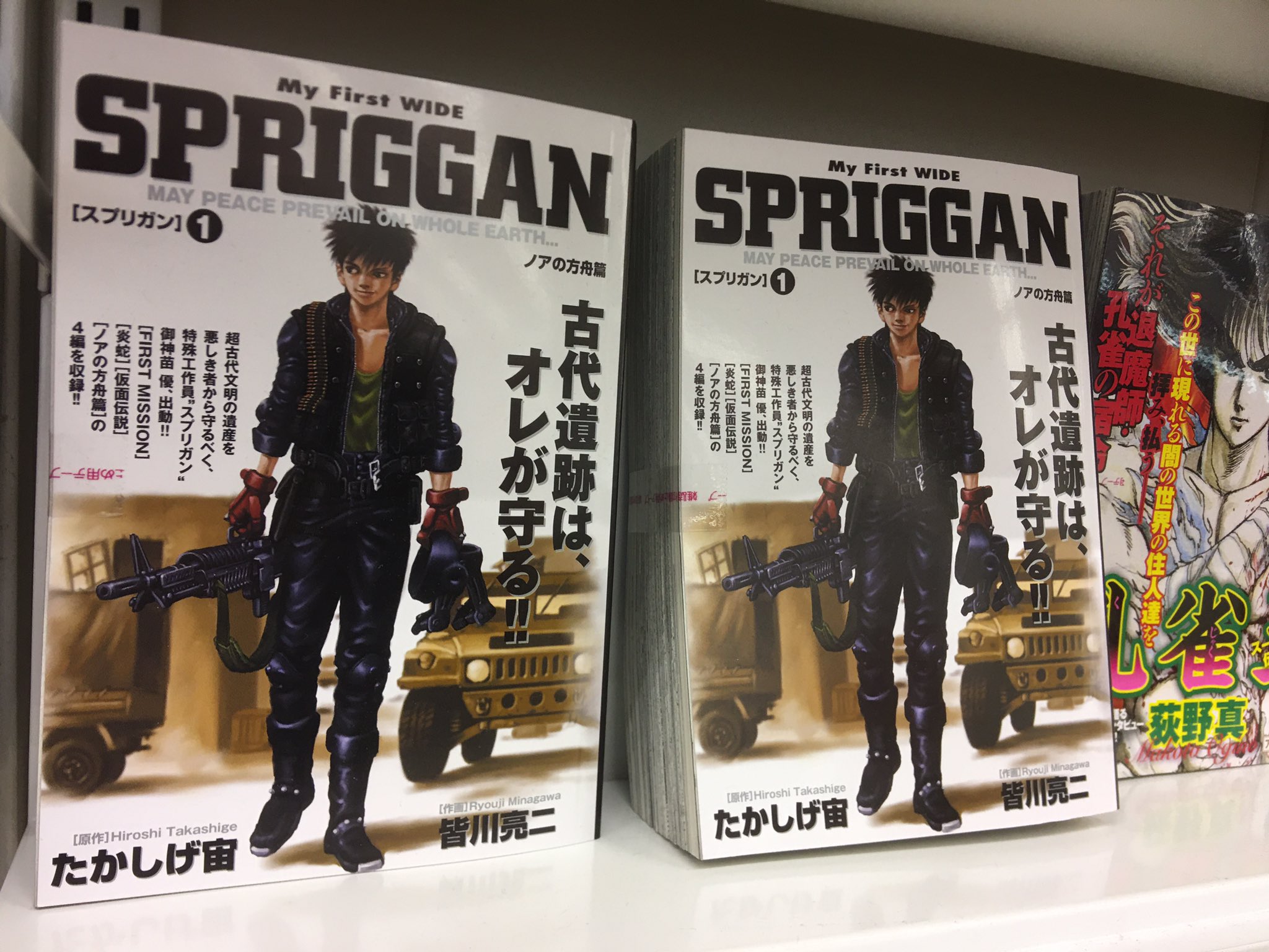 Spriggan Manga