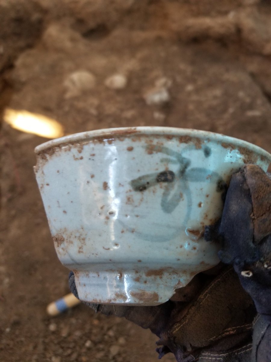 ACLQProject's tweet photo. Here's a beautiful Bamboo pattern rice bowl fragment from the northern end of the midden. 

We love finding sherds that have both the howl's rim and base, because we can learn so much about the original vessel that way!
1/2 https://t.co/glERtQvfes