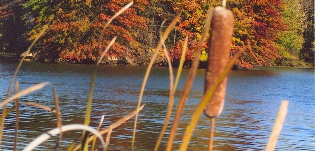 VisitIndiana's tweet photo. Enjoy and Explore all of Fall's Glory!
Festivals, Foliage and Photo Ops Abound on a Fall Excursion in Jackson County!
Read More: https://t.co/5kXKeBINQa
#LovINFall #visitindiana https://t.co/saOyih60J4