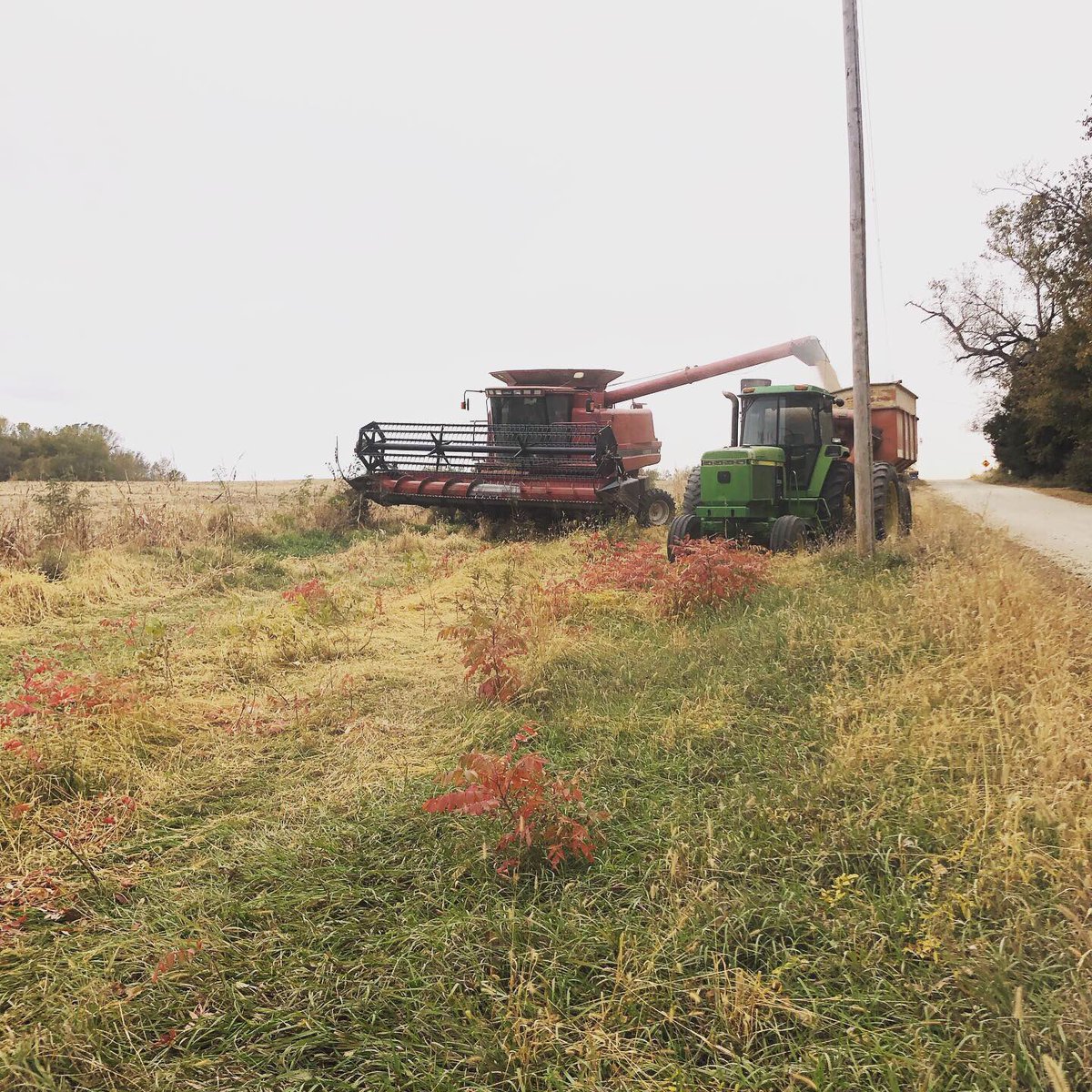 christychase5's tweet photo. #soybeanharvest happening https://t.co/IPVNF1FLt9