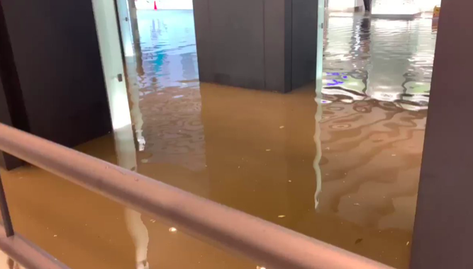 chanzou4's tweet photo. 千葉県で大雨警報！！冠水が始まってる地域も！鴨川、南房総市、千葉駅https://t.co/zh1D7Ef4CN
＃千葉駅　＃鴨川　＃大雨警報　＃千葉県大雨　＃房総半島　#南房総市 https://t.co/E0vUj2m5e9