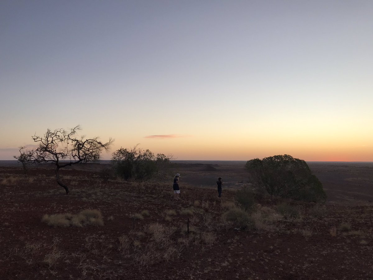 Marianne Mullane tweet media