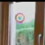 Elle : On essaie de tout bien faire, de vivre sainement, de prendre soin de nous. Et on assiste impuissant à notre empoisonnement

Moi : mais ... enfin ... T'AS MIS DES PESTICIDES JUSTE AU DESSUS DE TON ÉVIER !!!!

Elle : mais heuuuuuu 

Moi : .......

👍👏👏👏👏 #EnvoyeSpecial