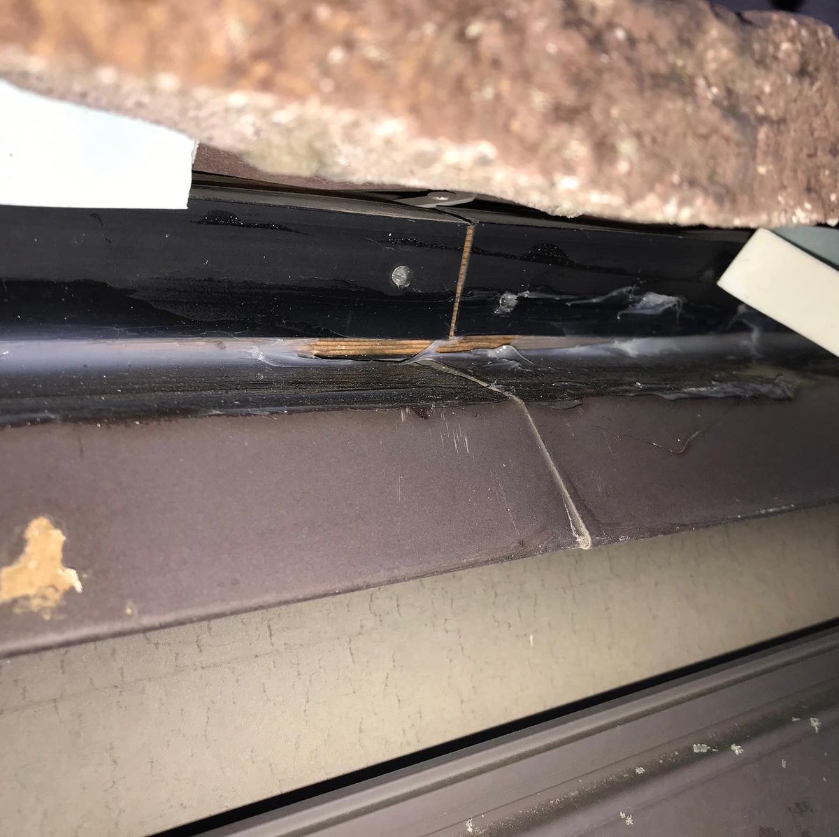 ট ইট র カタヤ建設 コウモリが瓦の隙間に住み着いてお困りとの事で 対策を考えました 隙間塞ぎ何とか出来そうです リフォーム リノベーション 杉戸町 修繕 埼玉 春日部 幸手 宮代 久喜 さいたま 越谷 内装 水まわり 外壁 塗装 外構 新築