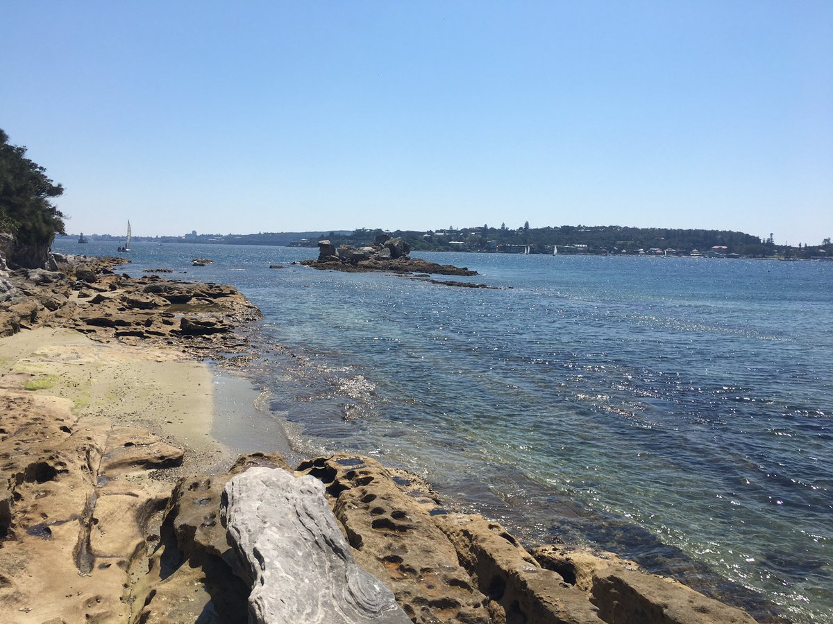 Flatworm collection trip number 2 completed! Stay tuned to see what we found! #fieldwork <a href="/MEG_MQ/">Marine Ecology Group</a> <a href="/MQ_Marine/">MQ Marine</a>