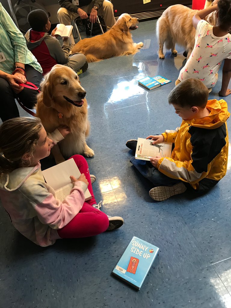 ThomasFitzwater's tweet photo. Reading with Rover kicked off the year today, complete with some dogs dressed in costume! #ReadingwithRover #reading #dogs #fun https://t.co/LEZzKcqDB4