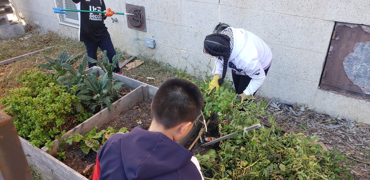 Today's donation to #FeedTheNeedy from the autumn harvest of the students of the COMAPSS Afterschool Program at JHS 223 The Montauk in #BoroPark. This is part of a community partnership to teach the students about agriculture &amp; #FeedingTheNeedy. 

#urbangarden #communityschools