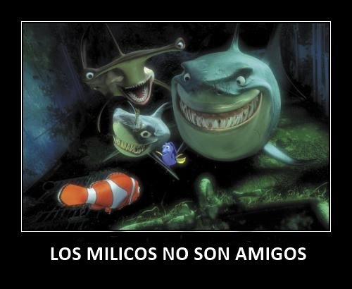 Fernandaconefe tweet picture