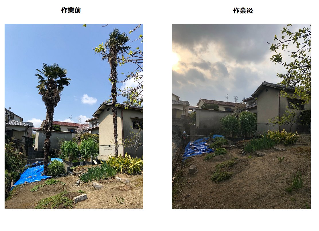 木の伐採格安業者 寝屋川市 門真市 枚方市 交野市 四條畷市 東大阪市 Aiatbenriya Twitter 木の伐採格安業者 寝屋川市 門真市 枚方市 交野市 四條畷市 東大阪市 Aiatbenriya Twitter