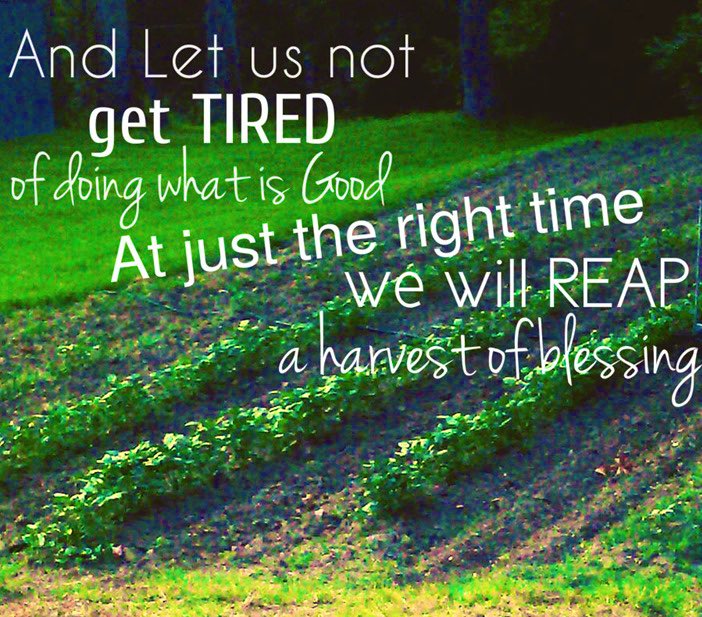 jessicaharris06 tweet media