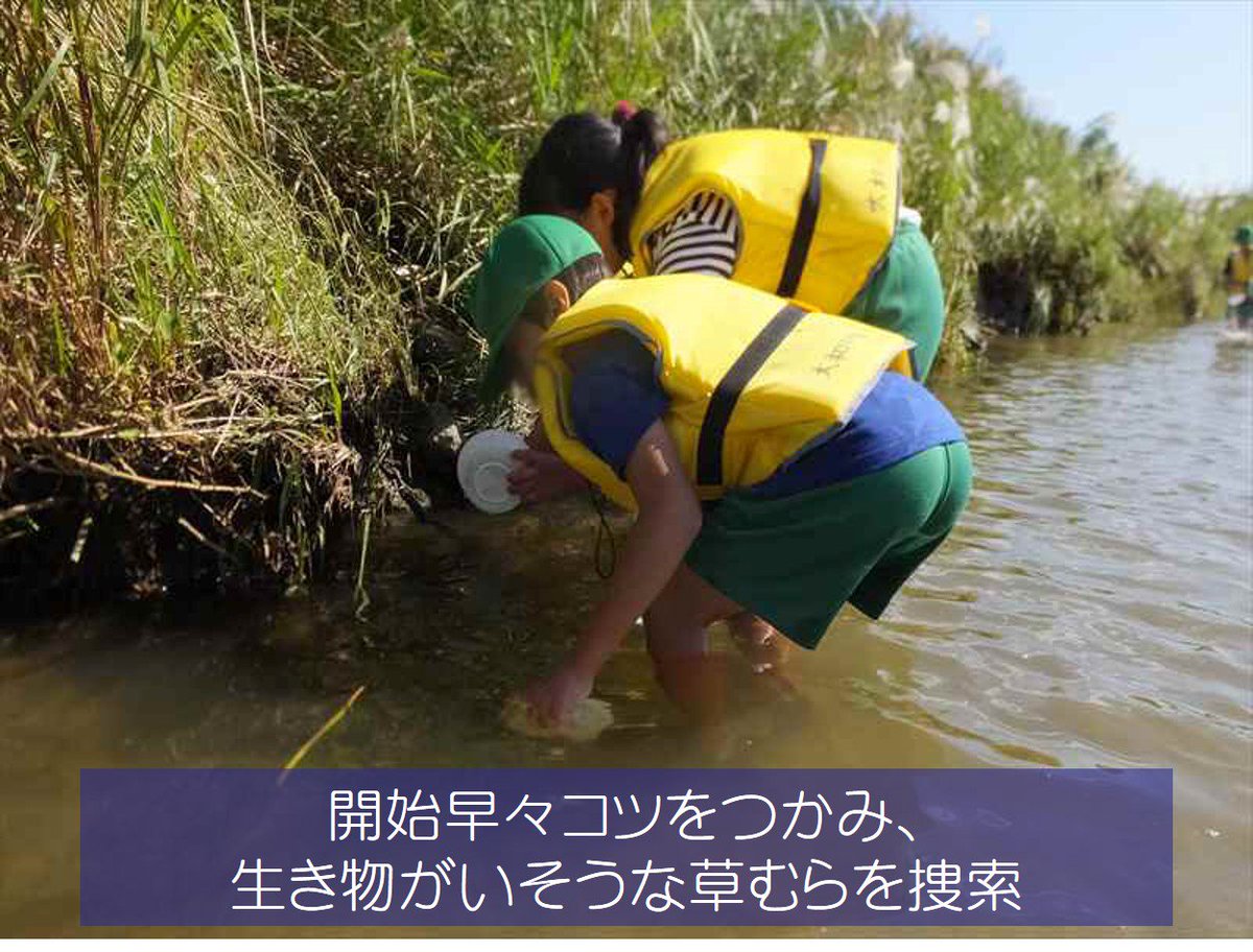 国土交通省 大和川河川事務所 大和川 水生生物調査 10月16日 八尾市立西山本小学校の4年生40人と一緒に 大阪府の河内橋で やまとがわ水生生物調査 を実施しました 秋晴れの中 ややきれいな 水に生息する4種を含む10種の生き物を採取でき その後の 国土交通省 大和川河川事務所 大和川 水生生物調査 10月16日 八尾市立西山本小学校の4年生40人と一緒に 大阪府の河内橋で やまとがわ水生生物調査 を実施しました 秋晴れの中 ややきれいな 水に生息する4種を含む10種の生き物を採取でき その後の