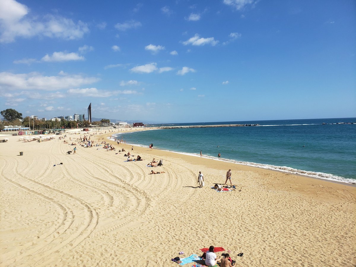 afweeks's tweet image. 