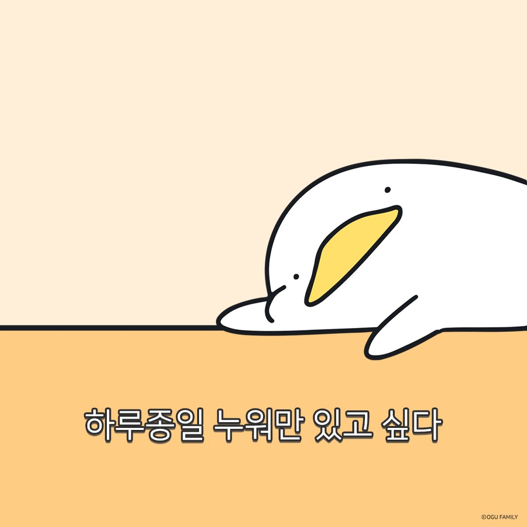 그냥....하루종일....누워만 있고 싶다아 #오구 #오구짤