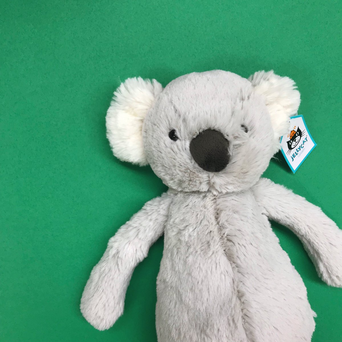 廃盤　新品　ジェリーキャット　ぬいぐるみ　こあら　コアラ　koala 動物 🐨TGIF with koala🐨 ・ ジェリーキャットにはさまざまな動物がいます