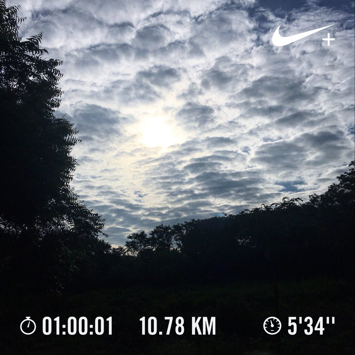 Nithin's tweet image. 6:57 AM: An hour of HR based run, keeping the BPM at 140. Pleased with the speed, but needs improvement, obviously 😄

#Runners360 #HRbasedrun #mafmethod #140bpm #nikeplus #nikerunning #pegasusturbo2 #werun2019 #werunkalaburagi #nikerunclub