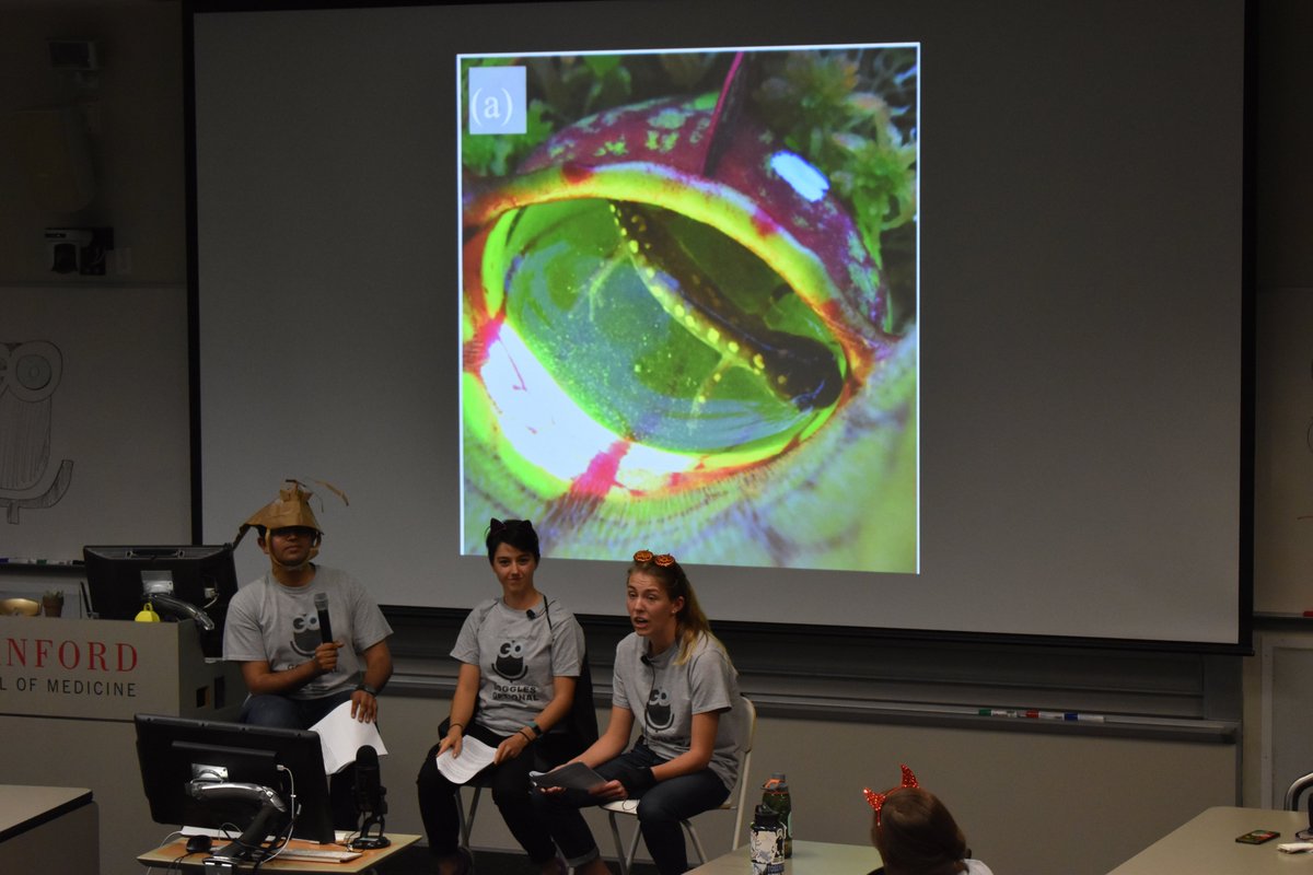 GogglesOptional's tweet image. Amanda closes out the features on our LIVE SHOW with a story on carnivorous plants that eat salamanders! #scicomm #PokemonSwordShield