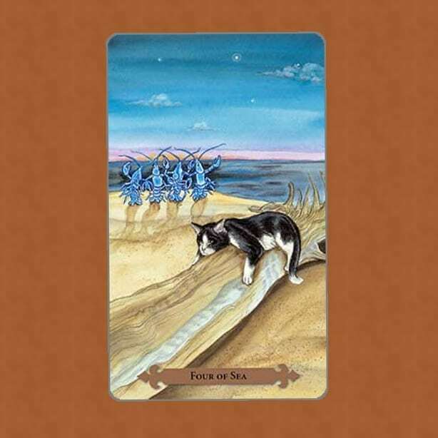 InariShadow's tweet photo. Now is a time of waiting. Nothing has caught your interest and it is OK to wait until something does. Don't settle for a bad choice just to make it. However, keep an eye out for the right move.

#tarotreading #tarot #witchcraft #divination #mysticalcatst… https://t.co/Fwbj6pHjcK https://t.co/hs7xPnfSGH