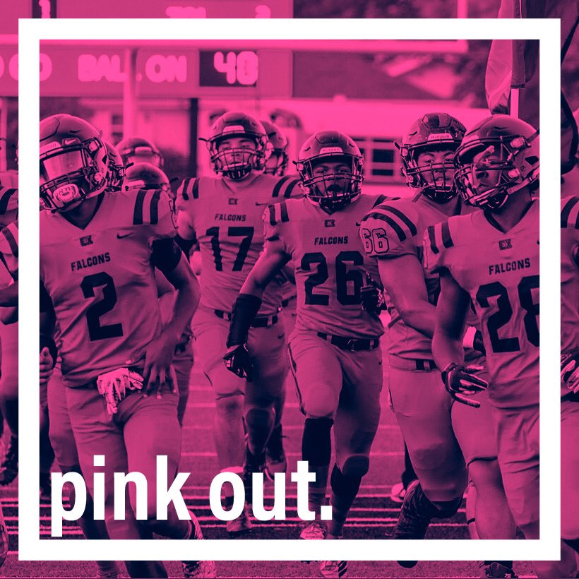 ekstusection's tweet photo. come support our falcons tomorrow in rockford @ 5 #pinkOUT #bcrf 🎀🎀 https://t.co/qJSAN00RYB