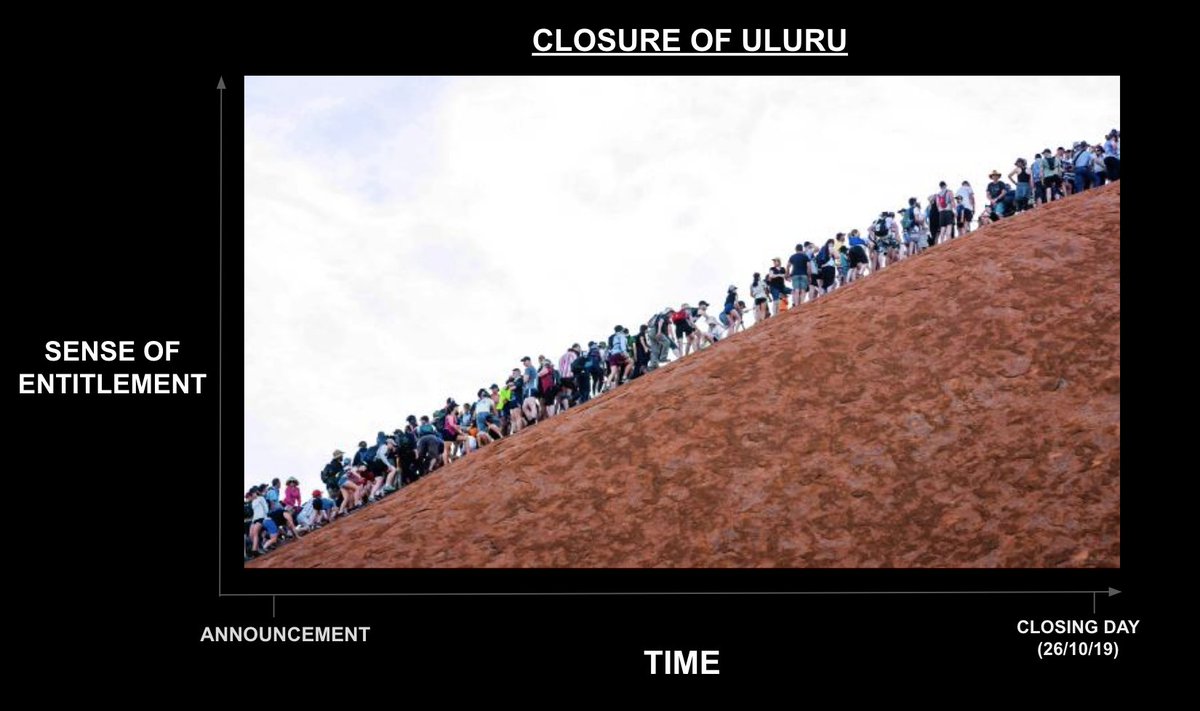 Matt Mortimer tweet media