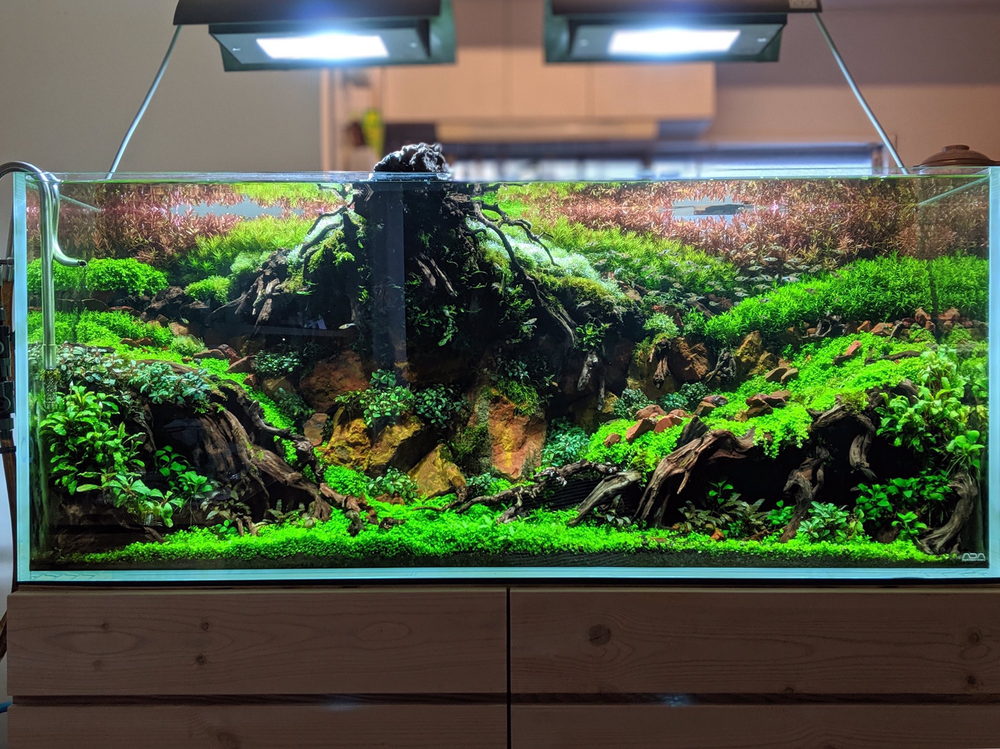 ADA キューブガーデン 90×45×45 水槽台とミドボン - 魚用品/水草 ADA キューブガーデン 90×45×45 水槽台とミドボン - 魚用品/水草
