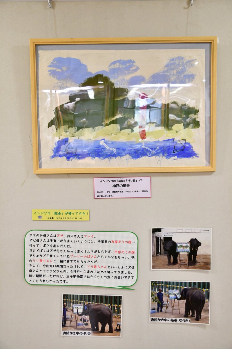 神戸市立王子動物園 公式 Twitter પર タンタンのお誕生日祝いに アジアゾウのみどりちゃんと 市原ぞうの国にいるアジアゾウの結希くんからも 似顔絵と名前のプレゼントをいただきました こちらも動物科学資料館内のこども図書館近くに 展示していますので
