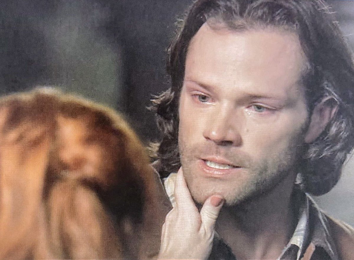 SaraCornell5's tweet photo. @FanScreening Supernatural season 15 episode 3 "the rapture" broke my heart @jarpad and @RuthieConnell did such an amazing job this Is my favorite episode this season so far #riprowena #bestperformances #loveIt https://t.co/MwUIOjq3L6