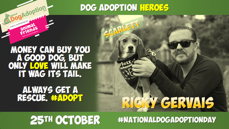 topdogtips's tweet image. What's your best piece of advice for new dog owners this #nationaldogadoptionday ? Comment and share below &amp;amp; let's help set more new dog owners off on the right path. #dogtips #dogadvice