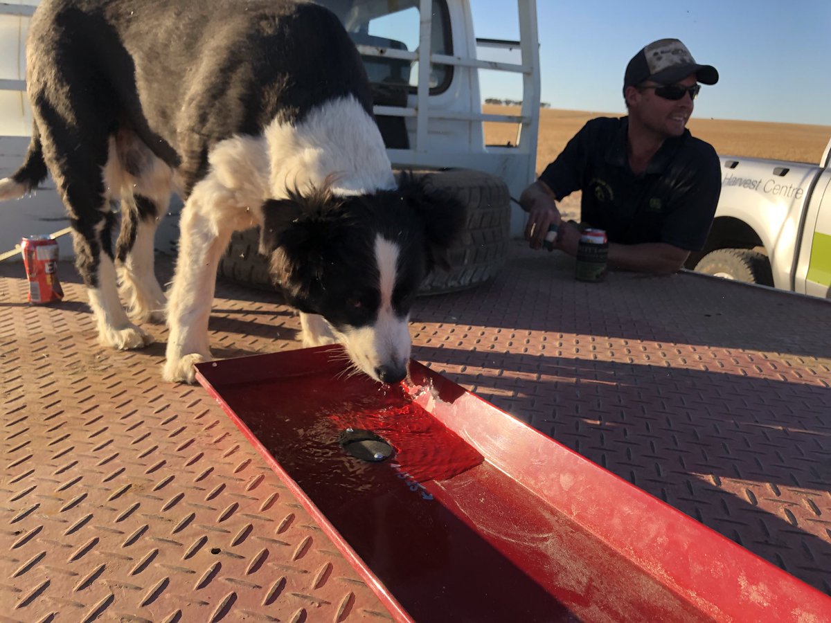 Multi-purpose ⁦<a href="/BushelPlus/">Bushel Plus 🌾</a>⁩