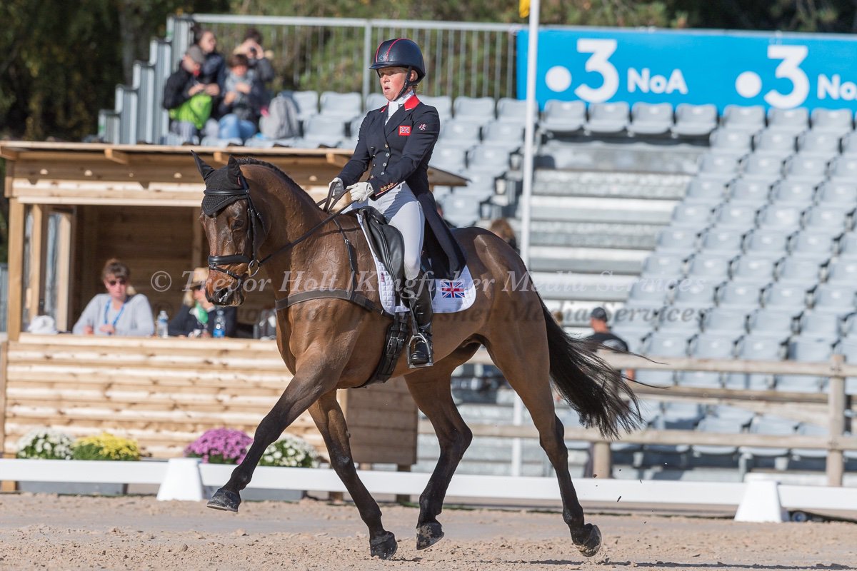 KFMS (@kfmspics) on Twitter photo She's back <a href="/cantereventing/">Ros Canter</a> leads the dressage after the Fri morning session Les Etoiles de Pau <a href="/Monarchstables/">Monarch Equestrian</a>
<a href="/CharlesOwenHats/">Charles Owen</a> <a href="/LincolnEquest/">Lincoln Equestrian</a> <a href="/HyEquestrian/">HyEquestrian</a>
<a href="/MediaHilary/">Manners Media</a> #safety365 #horsesofinstagram #horses_of_instagram #equestrian #horse #horses #instahorse #equestriansport She's back <a href="/cantereventing/">Ros Canter</a> leads the dressage after the Fri morning session Les Etoiles de Pau <a href="/Monarchstables/">Monarch Equestrian</a>
<a href="/CharlesOwenHats/">Charles Owen</a> <a href="/LincolnEquest/">Lincoln Equestrian</a> <a href="/HyEquestrian/">HyEquestrian</a>
<a href="/MediaHilary/">Manners Media</a> #safety365 #horsesofinstagram #horses_of_instagram #equestrian #horse #horses #instahorse #equestriansport