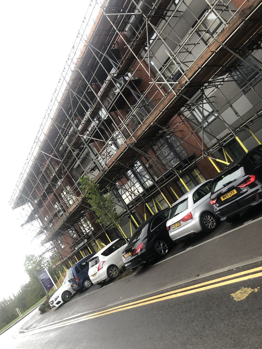 Sam Teale tweet media