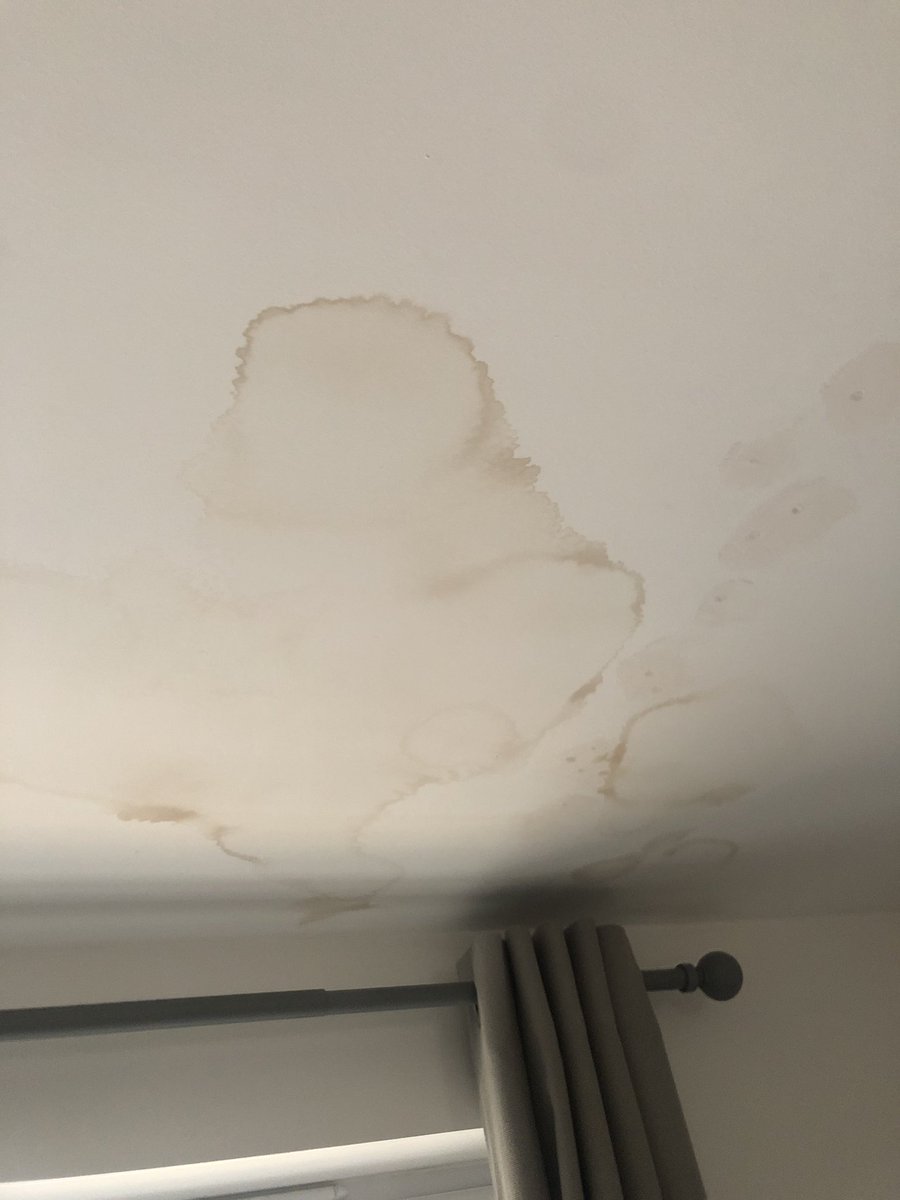 Sam Teale tweet media