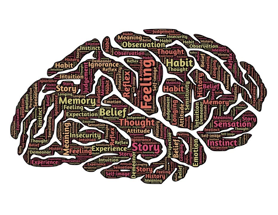 NeuroNation's tweet photo. Tip for the weekend: Learn in this #TED video how our brain halves really work: https://t.co/M1nGaHKxOY 

#brain #BrainGym #TedTalk #video #NeuroNation #trainyourbrain #science #braintraining #braintrainingapp #mentalhealth #MentalHealthAwareness #digitalhealth #health https://t.co/YH5Ap7iLev
