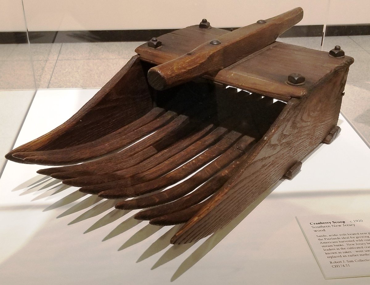 Pinelands Adventures (@pinesadventures) on Twitter photo Cranberry scoop, circa 1920, from the NJ State Museum. This weekend is your last chance to visit one of the oldest working cranberry farms in New Jersey with <a href="/PinesAdventures/">Pinelands Adventures</a>. Space still available Saturday's at 10am trip. pinelandsadventures.org/adventure/cran… Cranberry scoop, circa 1920, from the NJ State Museum. This weekend is your last chance to visit one of the oldest working cranberry farms in New Jersey with <a href="/PinesAdventures/">Pinelands Adventures</a>. Space still available Saturday's at 10am trip. pinelandsadventures.org/adventure/cran…
