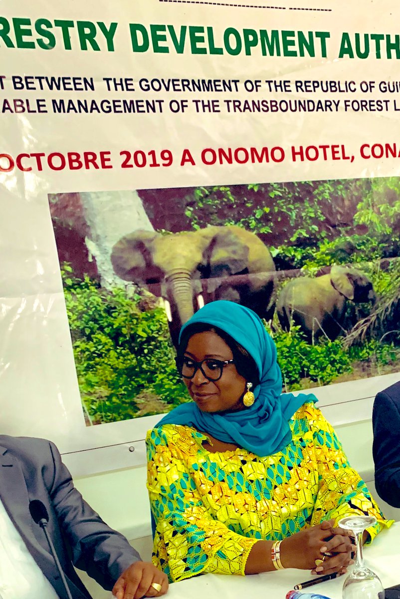 dienekeita's tweet image. Along with  the Minister of State , I have signed an agreement related to the sustainable management of one of the world largest forestry landscapes b/w #Guinea &amp;amp; #Liberia #AfricanIntegration @SDGoals #ClimateChange @USAIDGuinea @KoenDoens thank you #EU #USA