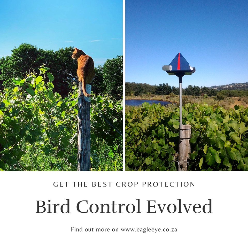 eagleeye_sa's tweet image. Eagle Eye Bird Control for pest control that works better than the original. It's non-lethal too and is less likely to wonder o ... #BirdControl #PestControl #CropControl #EagleEye