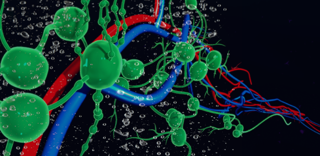 TohokuUniPR's tweet photo. A treatment involving sound waves that releases cancer drugs specifically inside lymph nodes could improve the prognosis of advanced breast cancer.
https://t.co/JPcPrYC7K3
#TohokuUni #research #japan
#lymph_node https://t.co/WGWB2dfW7X