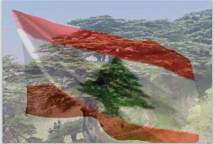 صباح الثورة 🌹
