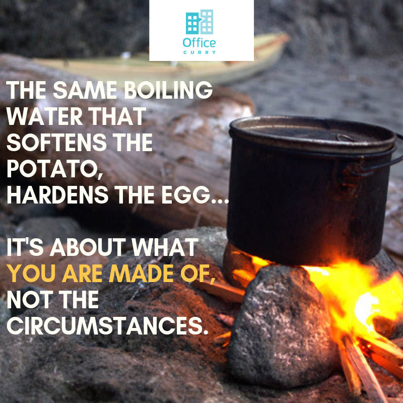 OfficeCurry's tweet photo. So, are you the potato or the egg? Will you be soft or hard? Will you get tough, learn and draw strength from your circumstances? Or collapse into a soggy mush? 
.
#Workgoals #challengeyourself #knowyourworth #teammanagement #teammotivation #lifegoals https://t.co/L1EQtN4aQG