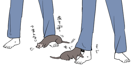今日もガチトレの邪魔をしてくるフェレット…ナッツって名前なんですけど 