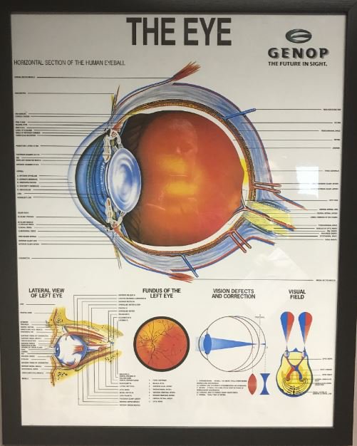 _ArriveAlive's tweet photo. Eye Diseases that affect Drivers - Have your Eyes Tested Regularly! https://t.co/eJX8pKBeSm #ArriveAlive #FightMyopia #MyopiaMatters #EssilorWSD2019 #PutVisionFirst #WorldSightDay Essilor South Africa https://t.co/QSXT3FHgI0