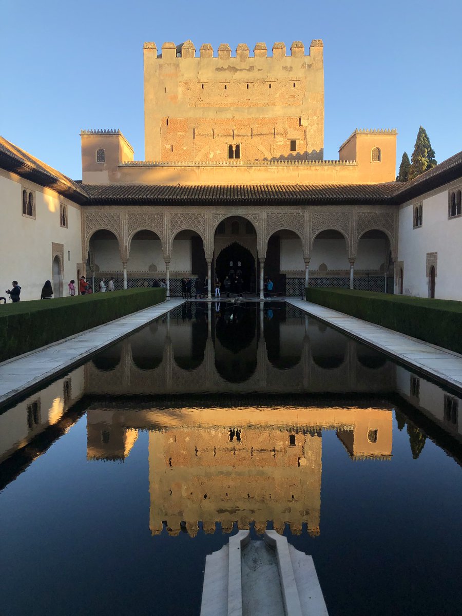 Hannah Kingston tweet media