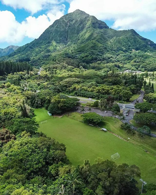 50 shades of green surround this excellent Hawaiian pitch

#pitchoftheweek #hawaii #hawaiian #usa #us #igersusa #remotepitches #remote #aerial #aerialshot #drone #dronestagram #dronephotography #droneshot #everywhereidrone 📸: @paradisesoccerclub ift.tt/31JCQ4V
