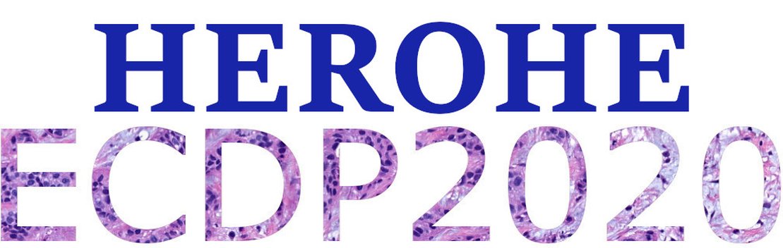 ESDIPatho's tweet photo. IT teams are invited to participate in the Grand Challenge HEROHE (HER2 on HE)  
https://t.co/d0Vgb2QsUg
 
The IT teams with a better performance will be awarded and invited to present their work during #ECDP2020.
#AI #computationalpathology https://t.co/QjaEi7MnWe