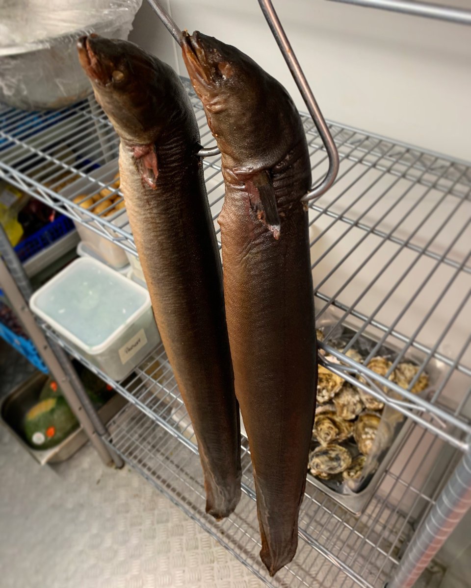 Smoked eel for the legendary Chef’s signature dish which has been on the menu for 10 years now! 
Celebrate our 10th Anniversary with a special tasting menu ❤️ 3 days to go!
#onthemenu #kitchenw8