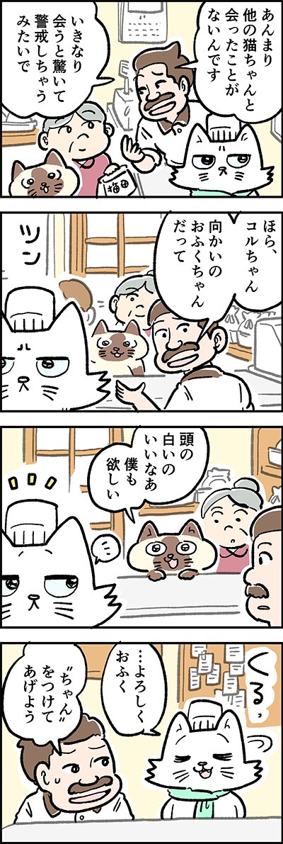コルちゃんのお店に行くよ～?

第35話「ツンデレ コルちゃん」

『猫のおふくちゃん』の最新話は毎週金曜日に連載中♪
⇒(

#猫のおふくちゃん 