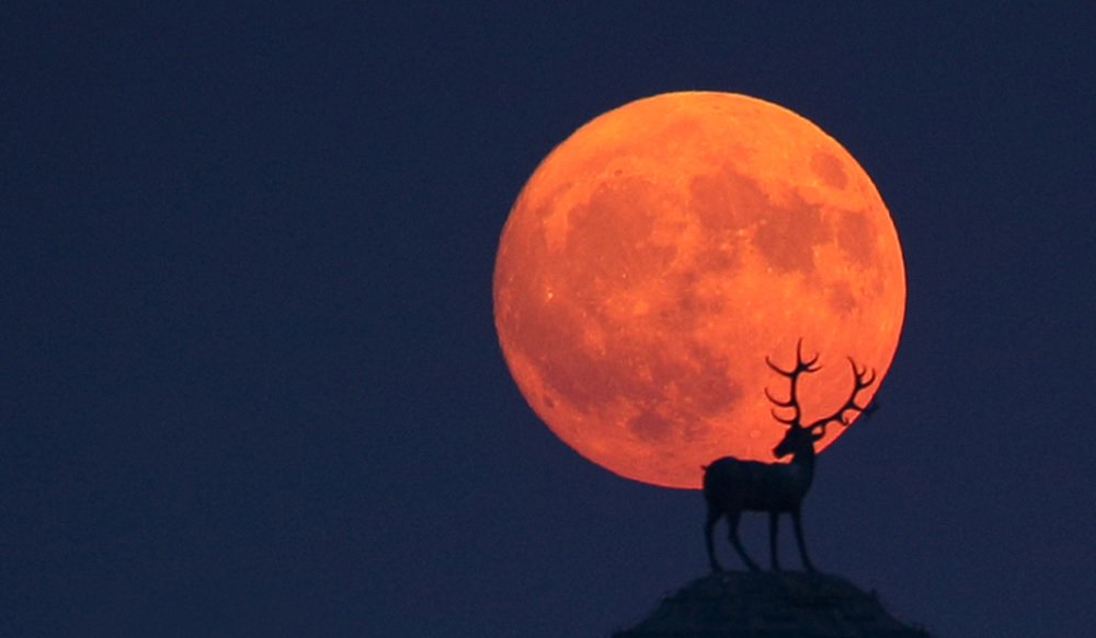 La Luna protagonista della mostra di Stefano De Rosa alla Xerjoff Gallery olfattomatto.it/la-luna-protag…