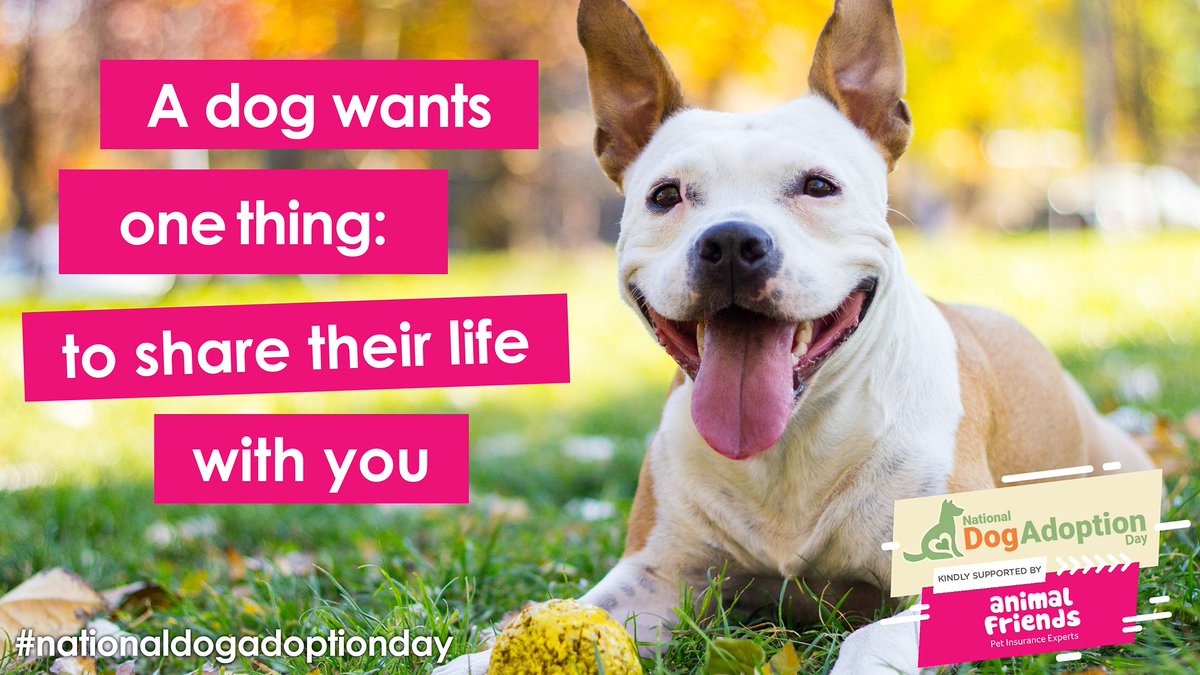 Advice.dog (@topdogtips) on Twitter photo Some great dog adoption tips from <a href="/AFPetInsurance/">Animal Friends</a> here - bit.ly/34bciv9 #nationaldogadoptionday <a href="/DogsBlog/">dogsblog.com Bring Joy, Adopt a Dog!</a> Some great dog adoption tips from <a href="/AFPetInsurance/">Animal Friends</a> here - bit.ly/34bciv9 #nationaldogadoptionday <a href="/DogsBlog/">dogsblog.com Bring Joy, Adopt a Dog!</a>