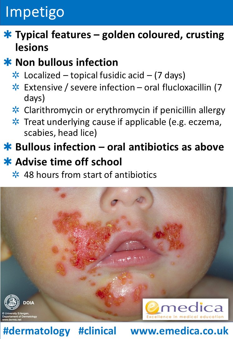 GP Training Support tweet media