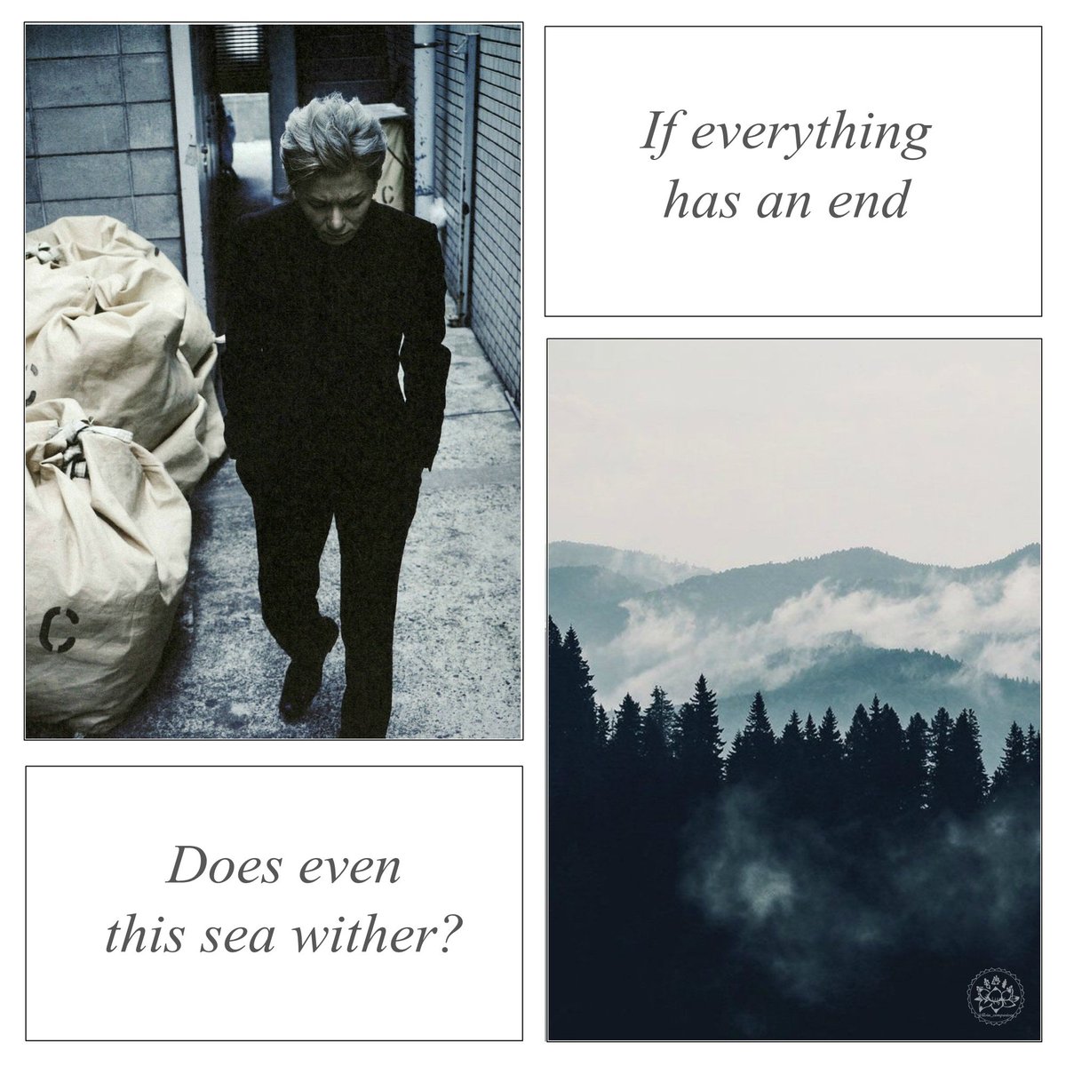 Asia_comparison's tweet photo. #Reo 
#lynch. https://t.co/Esb9A6mJmr